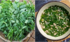 Đừng nên ăn rau ngót nếu bạn là một trong những nhóm người này