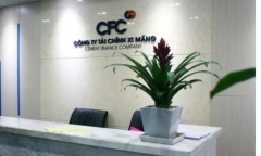 Ông Bùi Hồng Minh và thương vụ nguy cơ mất vốn khi là TGĐ Xi măng Bỉm Sơn, CFC