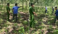 Bình Phước: Anh em ruột đánh nhau thương vong vì mâu thuẫn cạo mủ cao su