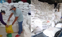 Cà Mau xin không nhận hỗ trợ gạo cứu đói dịp Tết Nguyên đán