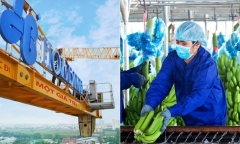 HAGL Agrico, Xây dựng Hòa Bình nhận tin không vui ngay đầu năm