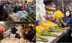 Cảnh nhộn nhịp tại chợ hoa lớn nhất Hà Nội trước ngày 8/3