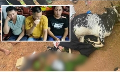 Lý do hoãn phiên tòa xét xử 3 cựu công an 