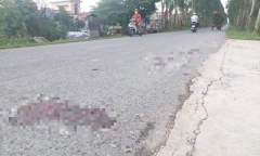 Tin tức tai nạn giao thông mới ngày 10/10: Va chạm với ô tô, nam sinh lớp 11 tử vong trên đường đi học về