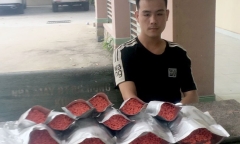 Phá đường dây mua bán ma túy 