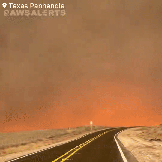 Xót xa cảnh khói lửa bao trùm, động vật tán loạn trong vụ rừng tàn khốc tại Texas