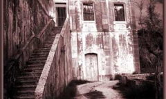 Lời nguyền dưới ánh trăng và cái chết đầy bi thảm