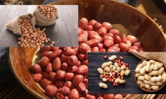 Lạc giàu chất dinh dưỡng, được ví như 