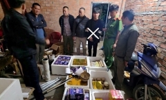 Tạm giữ Ngô Đức Phong - đối tượng sản xuất 1,8 tạ pháo nổ vì đam mê
