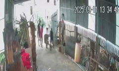 Phát hiện thanh niên mất kiểm soát đổ gục trước cổng nhà dân, tử vong thương tâm ở Lâm Đồng