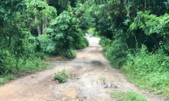 Điều tra vụ 