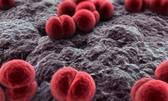 Từ “cửa tử” trở về: Những ca đột quỵ hồi phục kỳ diệu trong đợt giá rét