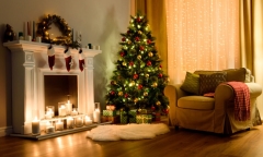 Tại sao cây thông Noel lại là biểu tượng cho ngày lễ Giáng sinh? 