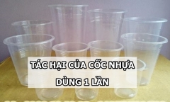 Tác hại khôn lường khi sử dụng cốc nhựa dùng 1 lần