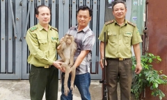 Bắc Ninh: Nam bệnh nhân rơi từ tầng 8 bệnh viện, tử vong