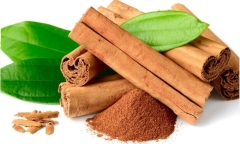 7 lợi ích bất ngờ của cây quế đối với sức khỏe