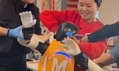 Robot mất kiểm soát 