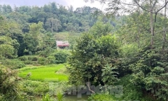 Tìm thấy thi thể 3 cháu bé dưới khe suối ở Lạng Sơn