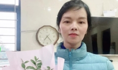 Tin thời sự mới nóng nhất 4/7: Tìm tung tích người phụ nữ mất tích bí ẩn gần 10 ngày ở Lạng Sơn