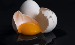 Dư luận phẫn nộ trước hình phạt bắt nhân viên ăn trứng sống của công ty công nghệ