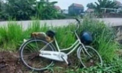 Vụ thi thể người phụ nữ bán hải sản ở chợ Rừng trôi sông: Chiếc xe đạp ở hiện trường