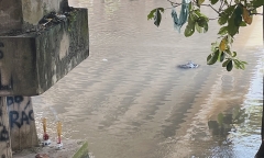Kinh hãi phát hiện thi thể nam thanh niên nổi trên sông