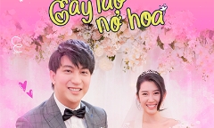 Cây Táo Nở Hoa có 71 tập, dân mạng bàn luận sôi nổi về 