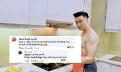 Việt Anh 
