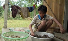 Không chịu ngồi không vì dịch COVID-19, cậu bé mồ côi nhận nút bạc Youtube