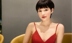 Hiền Hồ từng gây 