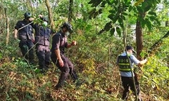 Trung Quốc công bố báo cáo sơ bộ vụ rơi máy bay chở 131 người