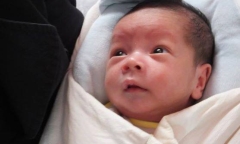 Vụ chùa Bồ Đề: Công an đã tìm thấy 10/11 cháu bé bị mất tích