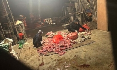 Hà Nội: Phát hiện 3.220 kg mỡ nước thành phẩm, 796kg tóp mỡ không rõ nguồn gốc xuất xứ
