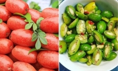 Đừng ăn quả nhót nếu bạn thuộc vào một trong những nhóm người này