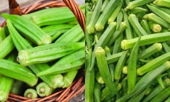 Đừng ăn đậu bắp nếu bạn mắc một số bệnh lý này