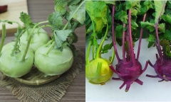 Dừng ngay việc ăn su hào nếu bạn mắc một trong những bệnh này