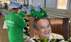 Công ty của bầu Đức thoát lỗ ngoạn mục nhờ làm điều này