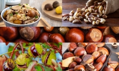Món ăn mùa đông thu hút giới trẻ, hãy cẩn thận với những 