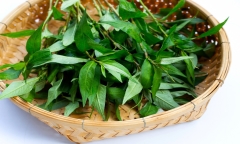 Loại rau mọc dại ngoài đường có thể cực tốt nhưng cũng cực độc, những lưu ý cần biết khi ăn loại rau này