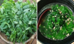 Đừng ăn rau ngót nếu bạn thuộc vào một trong những nhóm người này