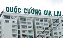 Quốc Cường Gia Lai lãi đậm trong năm đầu ông Nguyễn Quốc Cường làm CEO