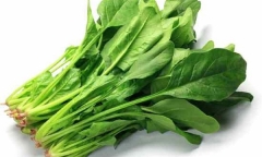 Loại rau ăn càng nhiều, mắt càng sáng