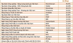 100 doanh nghiệp Nhà nước lớn nhất nộp ngân sách 425.800 tỷ đồng: Top 10 đáng chú ý