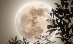 Rạng sáng 5/12, Việt Nam đón siêu trăng lạnh, khung giờ nào sẽ quan sát tốt nhất?