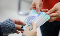 Cây đào cổ thụ 