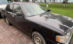 Xôn xao đấu giá 