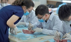Tuyển sinh 2025: Trường Y Dược, Đại học Quốc gia Hà Nội lần đầu xét tổ hợp có Tiếng Anh