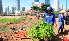 Tin thời sự nóng mới nhất ngày 29/11: Trồng 35.000 cây hoa hướng dương dọc bờ sông Sài Gòn