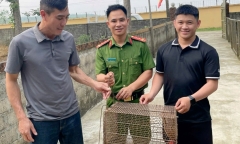 Tin tức thời sự 24h: Phát hiện con vật quý hiếm, người đàn ông bàn giao công an