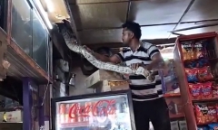 Hốt hoảng phát hiện “quái vật” trên trần nhà, chủ cửa hàng tháo chạy giữa đêm